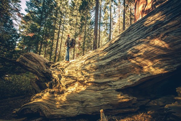 Comment explorer les anciens monastères bouddhistes au Bhoutan ?